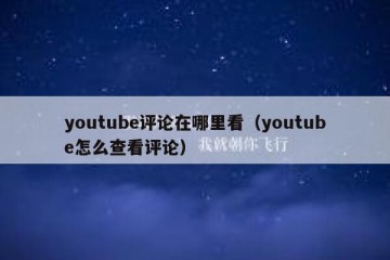 youtube评论在哪里看（youtube怎么查看评论）