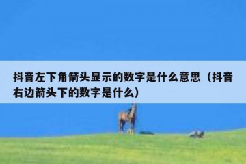 抖音左下角箭头显示的数字是什么意思（抖音右边箭头下的数字是什么）