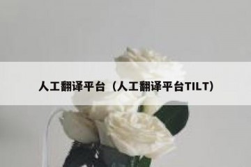 人工翻译平台（人工翻译平台TILT）