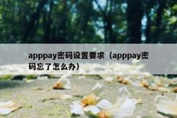 apppay密码设置要求（apppay密码忘了怎么办）