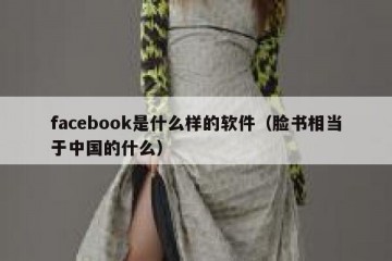facebook是什么样的软件（脸书相当于中国的什么）