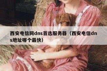 西安电信网dns首选服务器（西安电信dns地址哪个最快）
