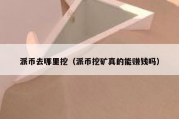 派币去哪里挖（派币挖矿真的能赚钱吗）