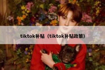 tiktok补贴（tiktok补贴政策）