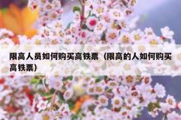 限高人员如何购买高铁票（限高的人如何购买高铁票）