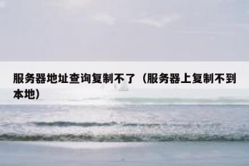 服务器地址查询复制不了（服务器上复制不到本地）