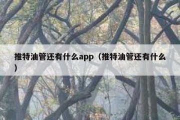 推特油管还有什么app（推特油管还有什么）