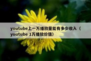 youtube上一万播放量能有多少收入（youtube 1万播放价值）