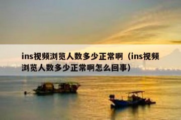 ins视频浏览人数多少正常啊（ins视频浏览人数多少正常啊怎么回事）