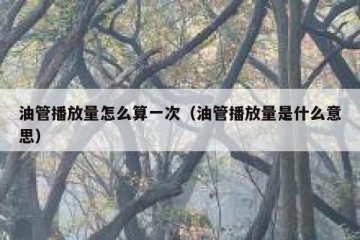 油管播放量怎么算一次（油管播放量是什么意思）