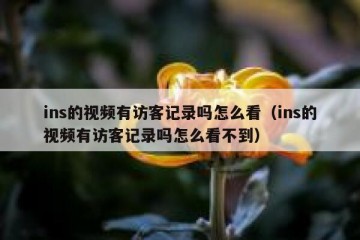 ins的视频有访客记录吗怎么看（ins的视频有访客记录吗怎么看不到）