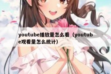 youtube播放量怎么看（youtube观看量怎么统计）