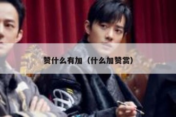 赞什么有加（什么加赞赏）