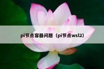 pi节点容器问题（pi节点wsl2）