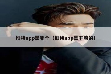 推特app是哪个（推特app是干嘛的）