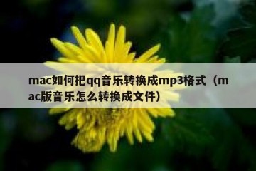 mac如何把qq音乐转换成mp3格式（mac版音乐怎么转换成文件）