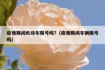 疫情期间机动车限号吗?（疫情期间车辆限号吗）