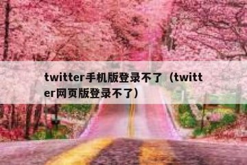twitter手机版登录不了（twitter网页版登录不了）