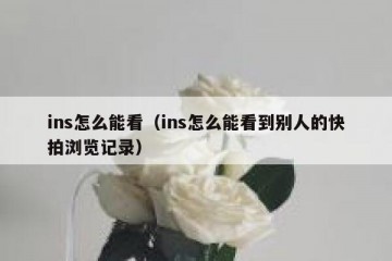 ins怎么能看（ins怎么能看到别人的快拍浏览记录）