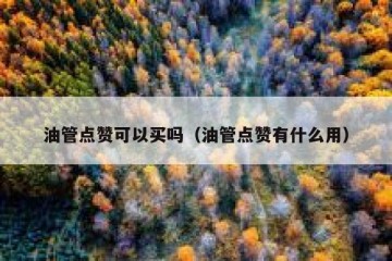 油管点赞可以买吗（油管点赞有什么用）