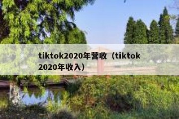 tiktok2020年营收（tiktok2020年收入）