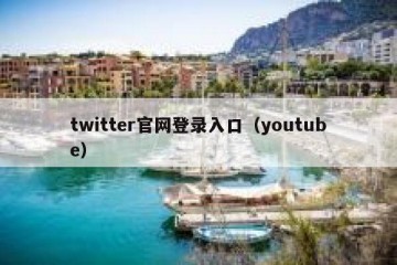 twitter官网登录入口（youtube）