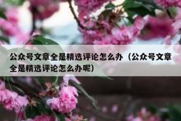 公众号文章全是精选评论怎么办（公众号文章全是精选评论怎么办呢）