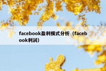 facebook盈利模式分析（facebook利润）