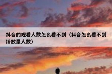 抖音的观看人数怎么看不到（抖音怎么看不到播放量人数）