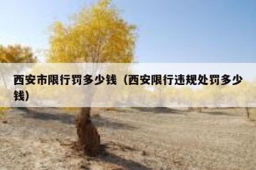 西安市限行罚多少钱（西安限行违规处罚多少钱）