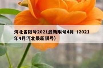 河北省限号2021最新限号4月（2021年4月河北最新限号）