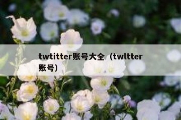 twtitter账号大全（twltter账号）
