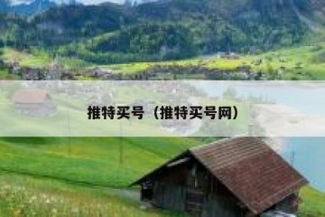 推特买号（推特买号网）