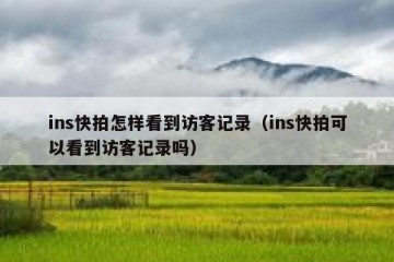 ins快拍怎样看到访客记录（ins快拍可以看到访客记录吗）