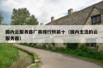 国内云服务器厂商排行榜前十（国内主流的云服务器）