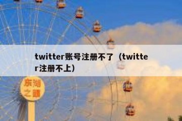 twitter账号注册不了（twitter注册不上）