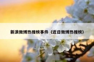 新浪微博热搜榜事件（近日微博热搜榜）