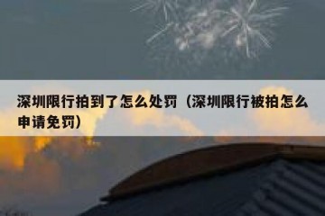深圳限行拍到了怎么处罚（深圳限行被拍怎么申请免罚）