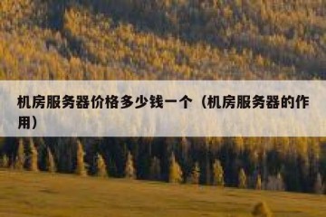 机房服务器价格多少钱一个（机房服务器的作用）