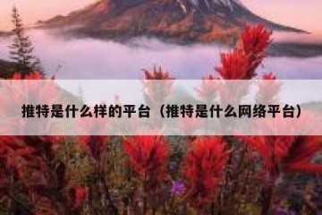 推特是什么样的平台（推特是什么网络平台）