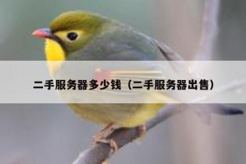 二手服务器多少钱（二手服务器出售）