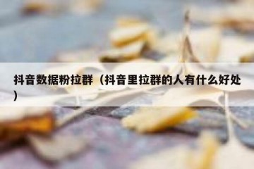抖音数据粉拉群（抖音里拉群的人有什么好处）