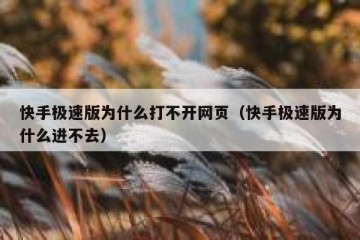 快手极速版为什么打不开网页（快手极速版为什么进不去）