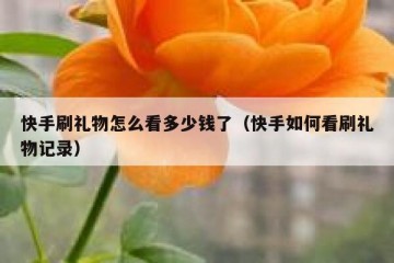 快手刷礼物怎么看多少钱了（快手如何看刷礼物记录）
