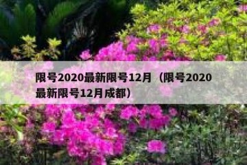 限号2020最新限号12月（限号2020最新限号12月成都）