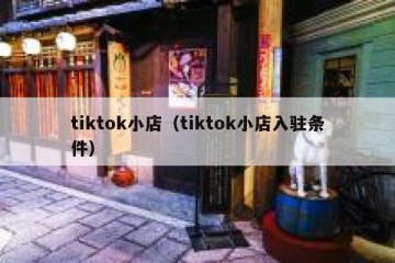 tiktok小店（tiktok小店入驻条件）