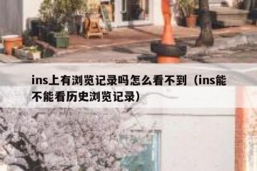 ins上有浏览记录吗怎么看不到（ins能不能看历史浏览记录）