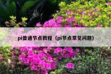 pi普通节点教程（pi节点常见问题）