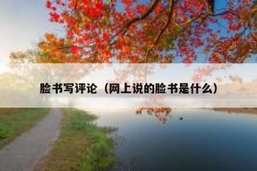 脸书写评论（网上说的脸书是什么）