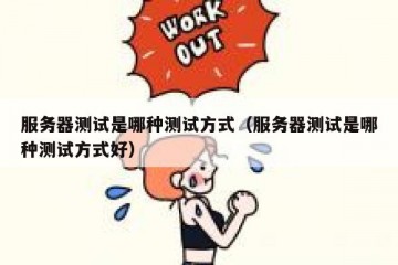 服务器测试是哪种测试方式（服务器测试是哪种测试方式好）